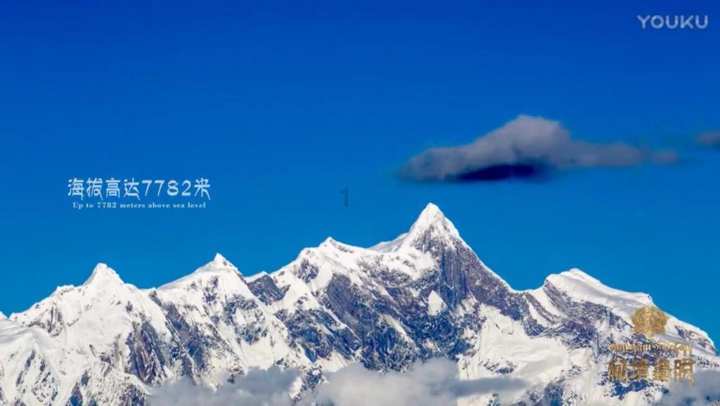 解惑蜗牛,七夕送花内容怎么写?蜗牛问答平台